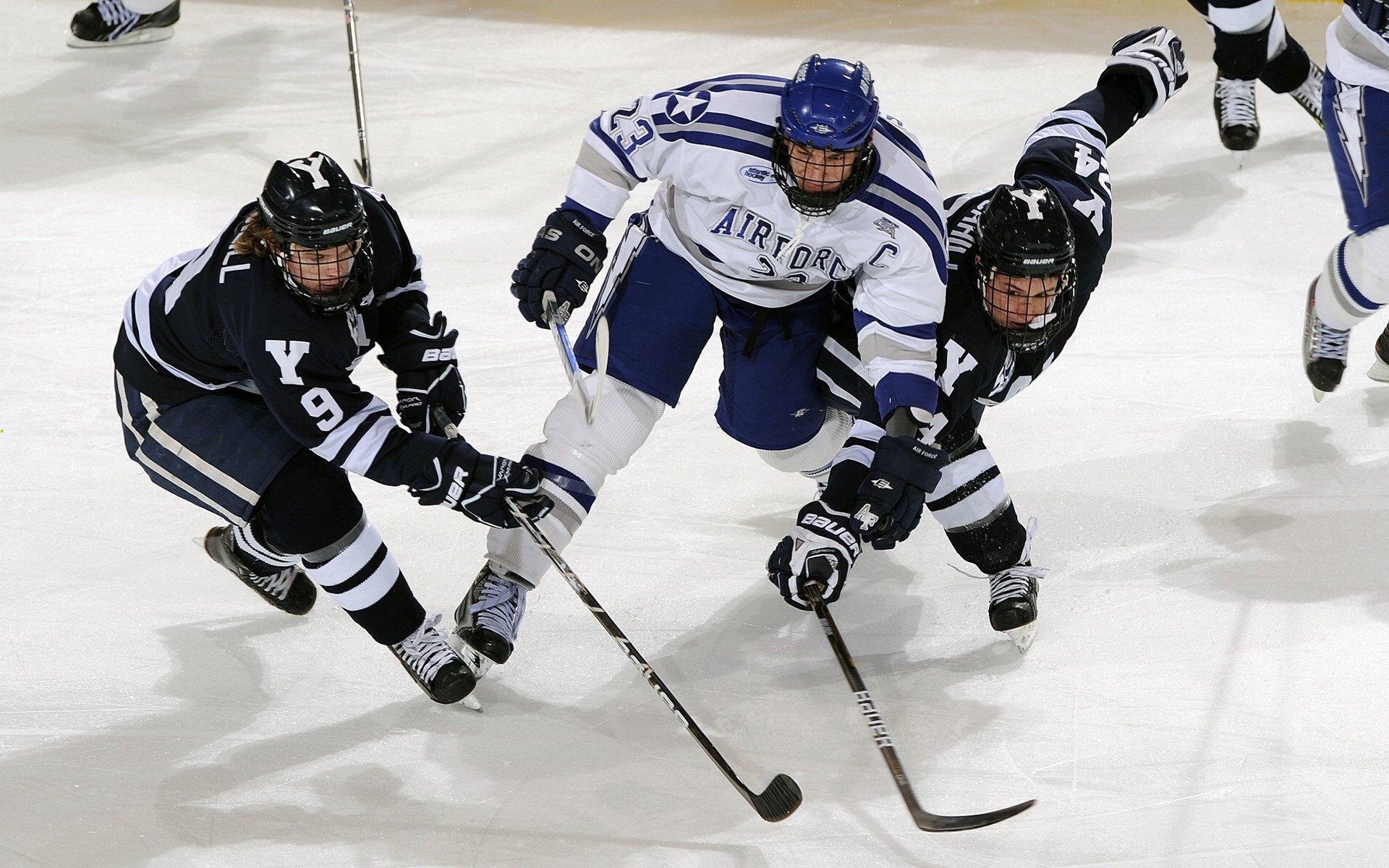 格斗巨星巅峰对决落幕,新王加冕引爆全球热议